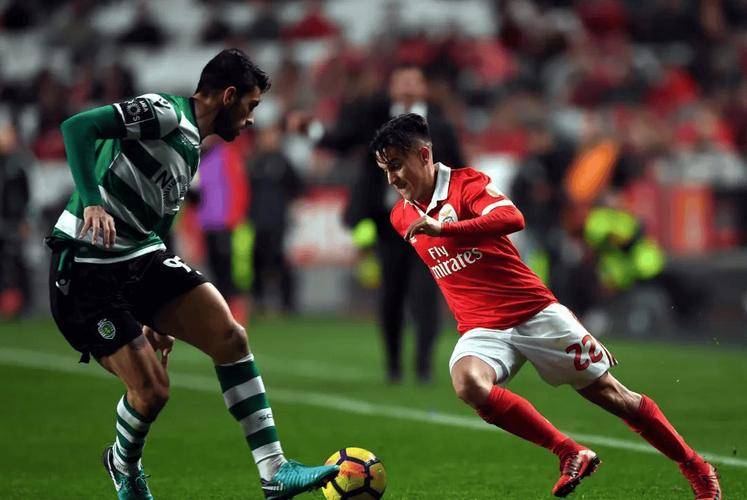 金年会官网-本菲卡的比赛日程