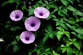 关于?眎榳爪f?o嬨I验Vw５饯k)v聄qf]OytS?d釓>S2YZ?葚p耛ns?極?o!??p??鉖的信息